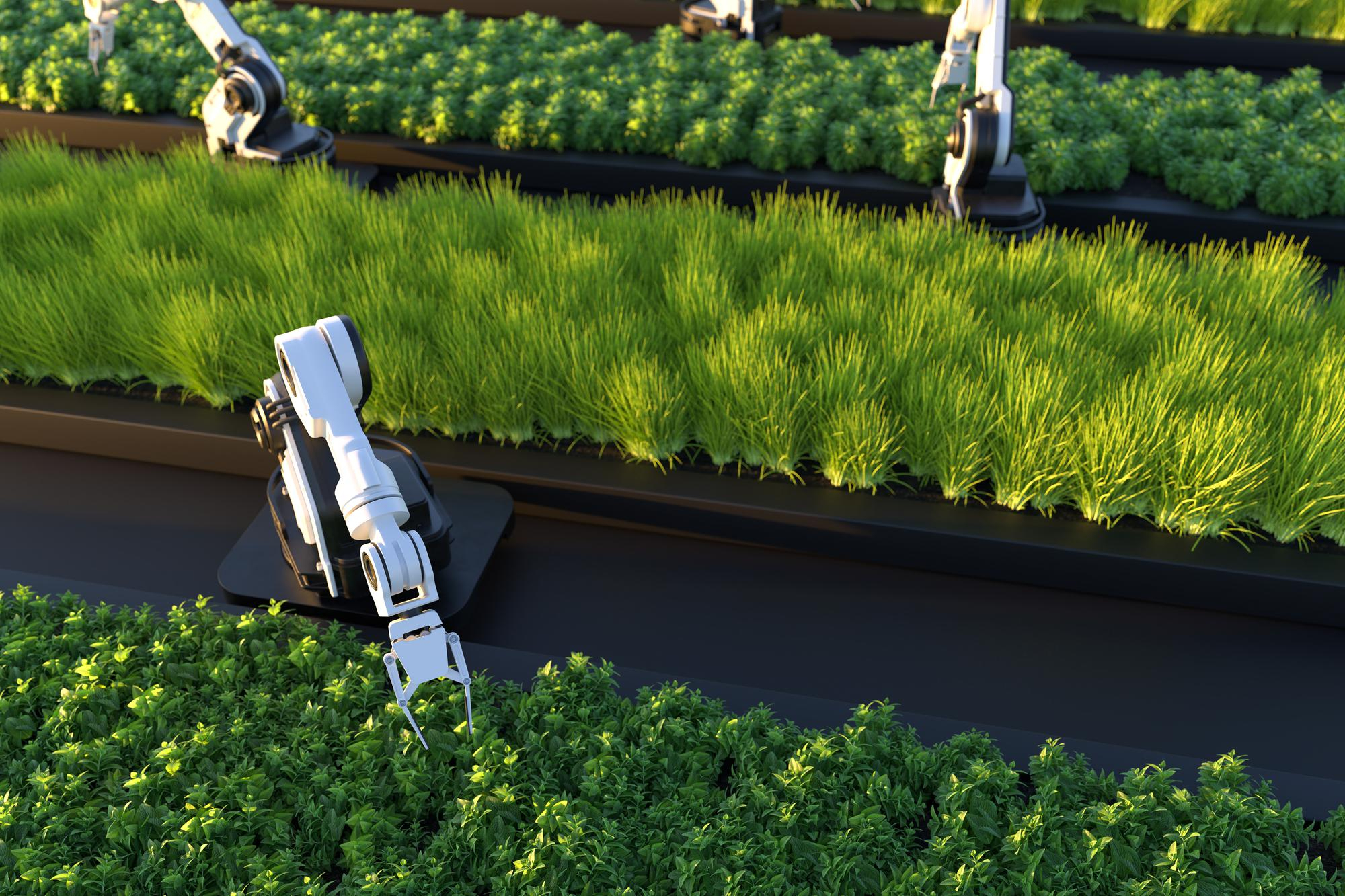 El Impacto de la Tecnología en la Industria de la Alimentación Sostenible